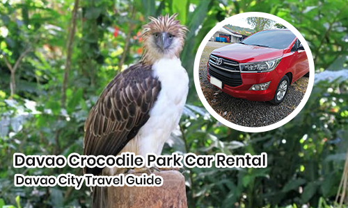 Philippine Eagle Center Car Rental Davao | Davao City Travel Guide