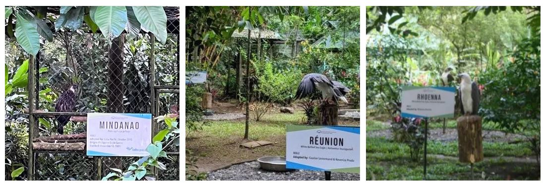 Philippine Eagle Center 